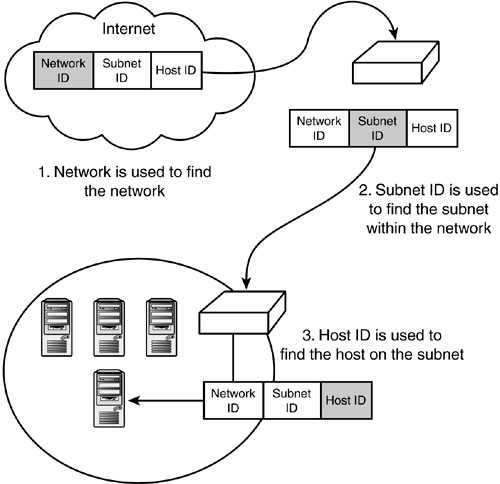 5-subnetted-network